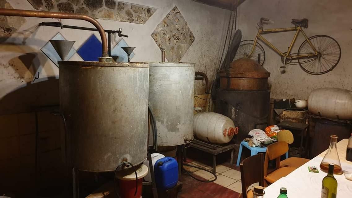 Apartman Bruna Σίμπενικ Εξωτερικό φωτογραφία